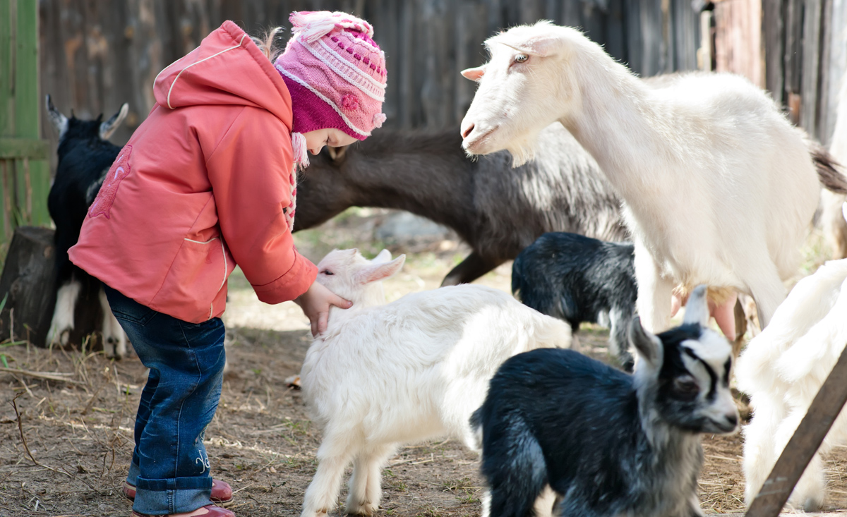 Urlaub am Bauernhof mit Kindern